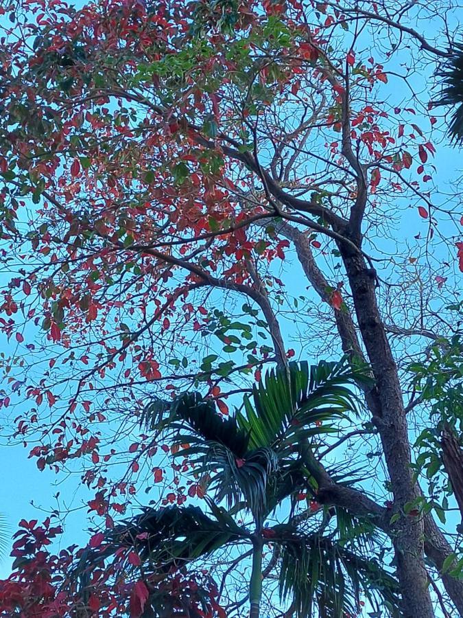 Adhvasaha Beach Spa Resort Port Blair Bagian luar foto