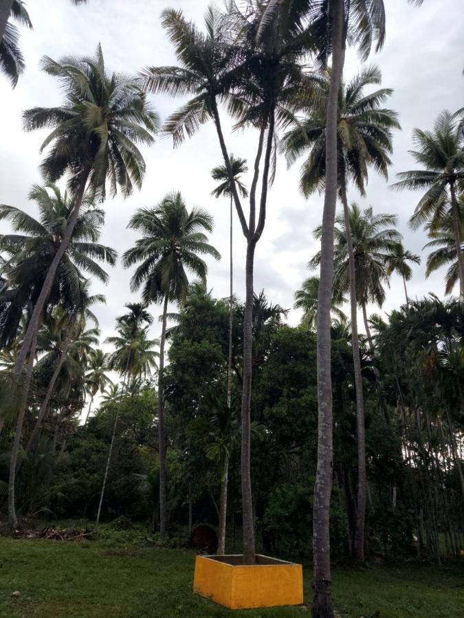 Adhvasaha Beach Spa Resort Port Blair Bagian luar foto