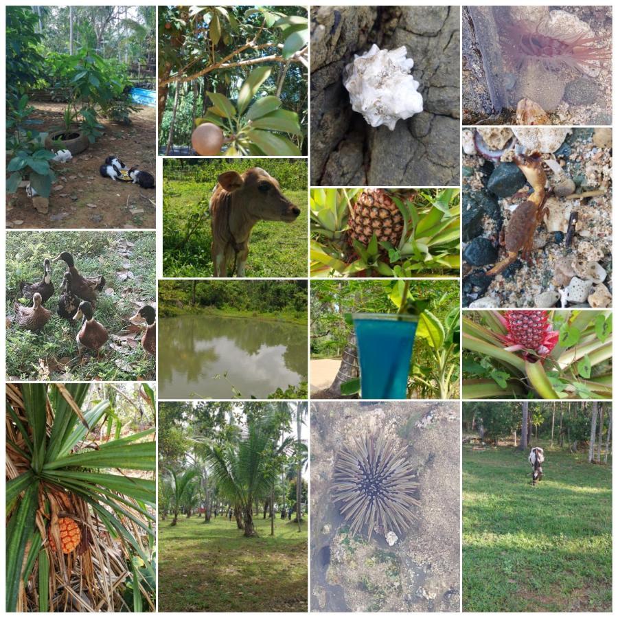 Adhvasaha Beach Spa Resort Port Blair Bagian luar foto