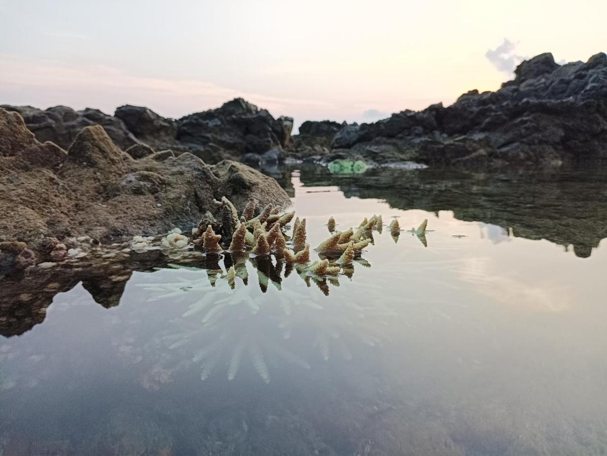 Adhvasaha Beach Spa Resort Port Blair Bagian luar foto